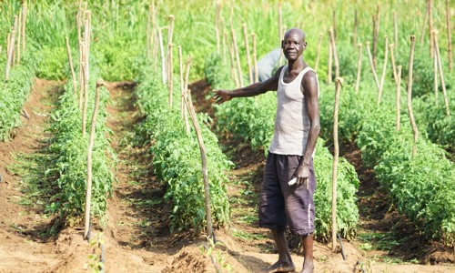 Emidio Regol South Sudan Niras